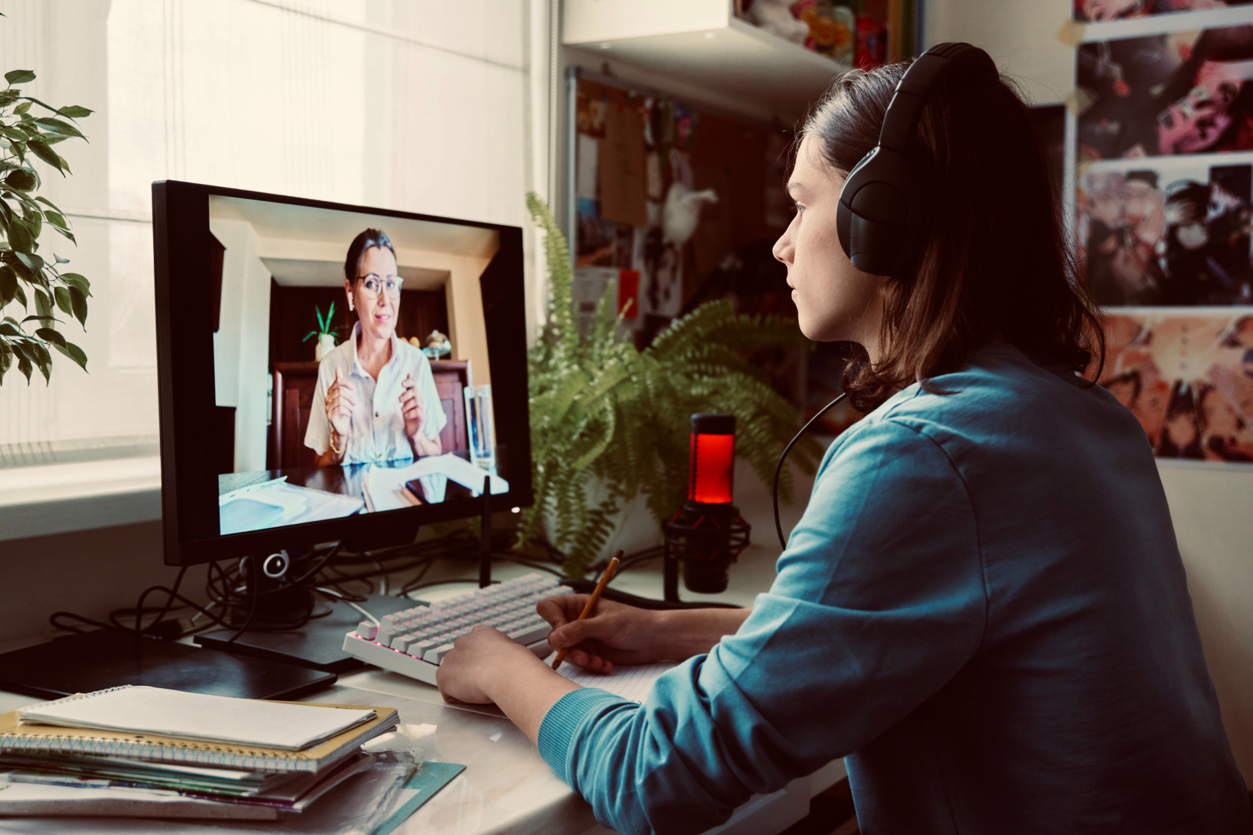 online class video call laptop